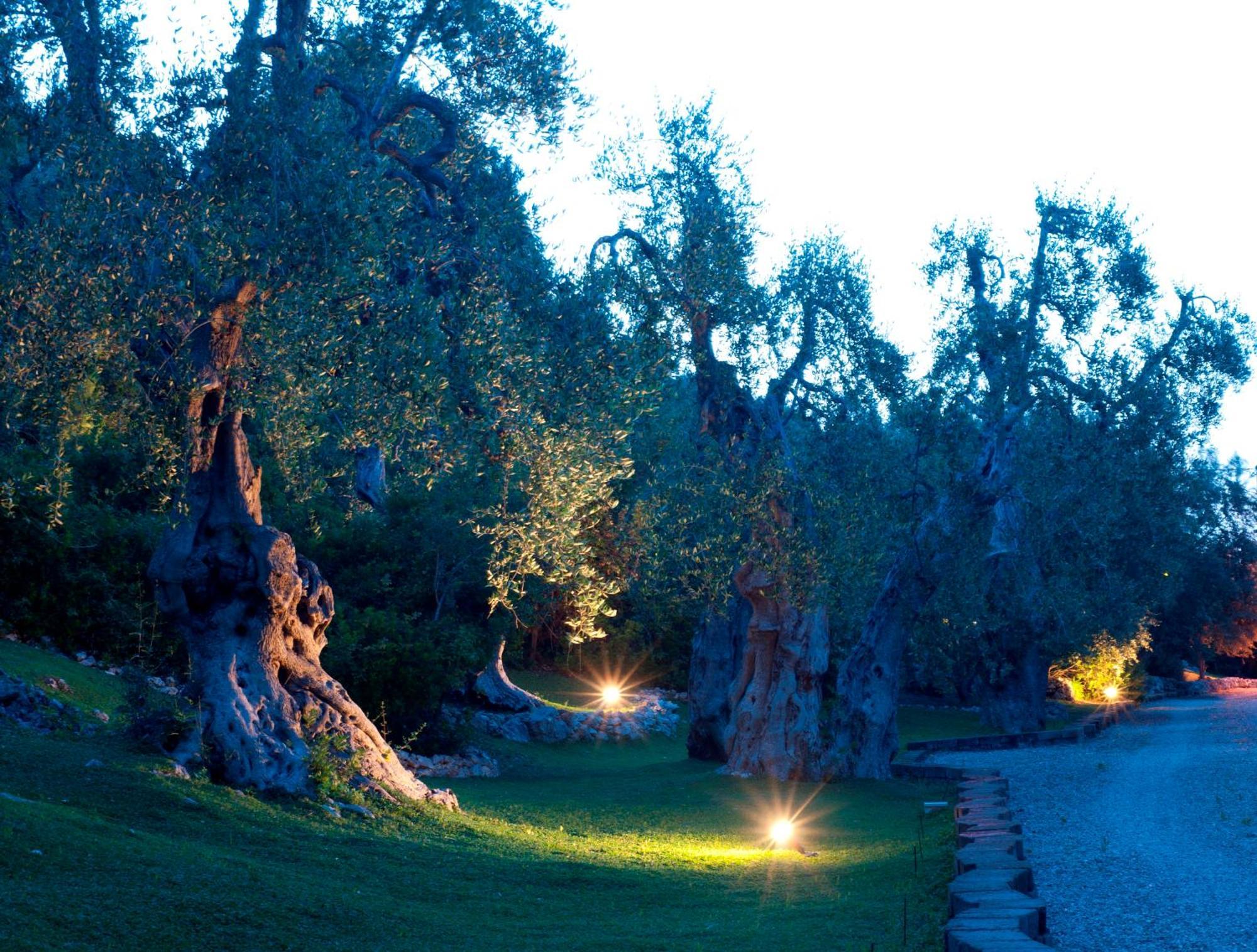 Masseria La Chiusa Delle More Casa de hóspedes Peschici Exterior foto