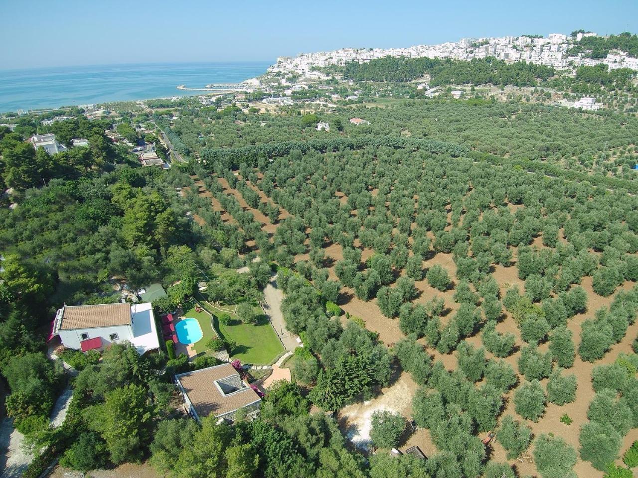 Masseria La Chiusa Delle More Casa de hóspedes Peschici Exterior foto